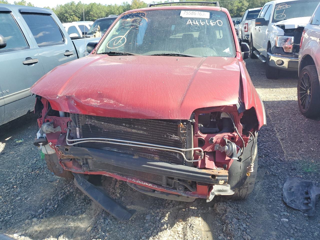 Ford Escape Xlt Image 6