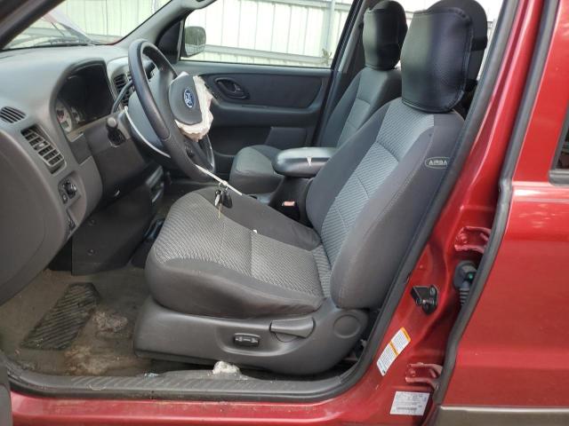Ford Escape Xlt Image 4