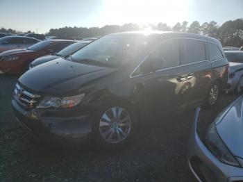  Salvage Honda Odyssey