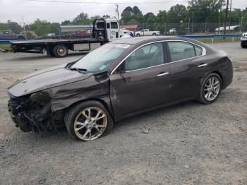  Salvage Nissan Maxima