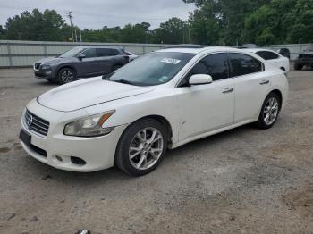  Salvage Nissan Maxima