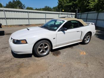  Salvage Ford Mustang