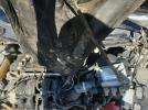 Ford Fiesta S Image 6
