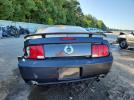 Ford Mustang Gt Image 4