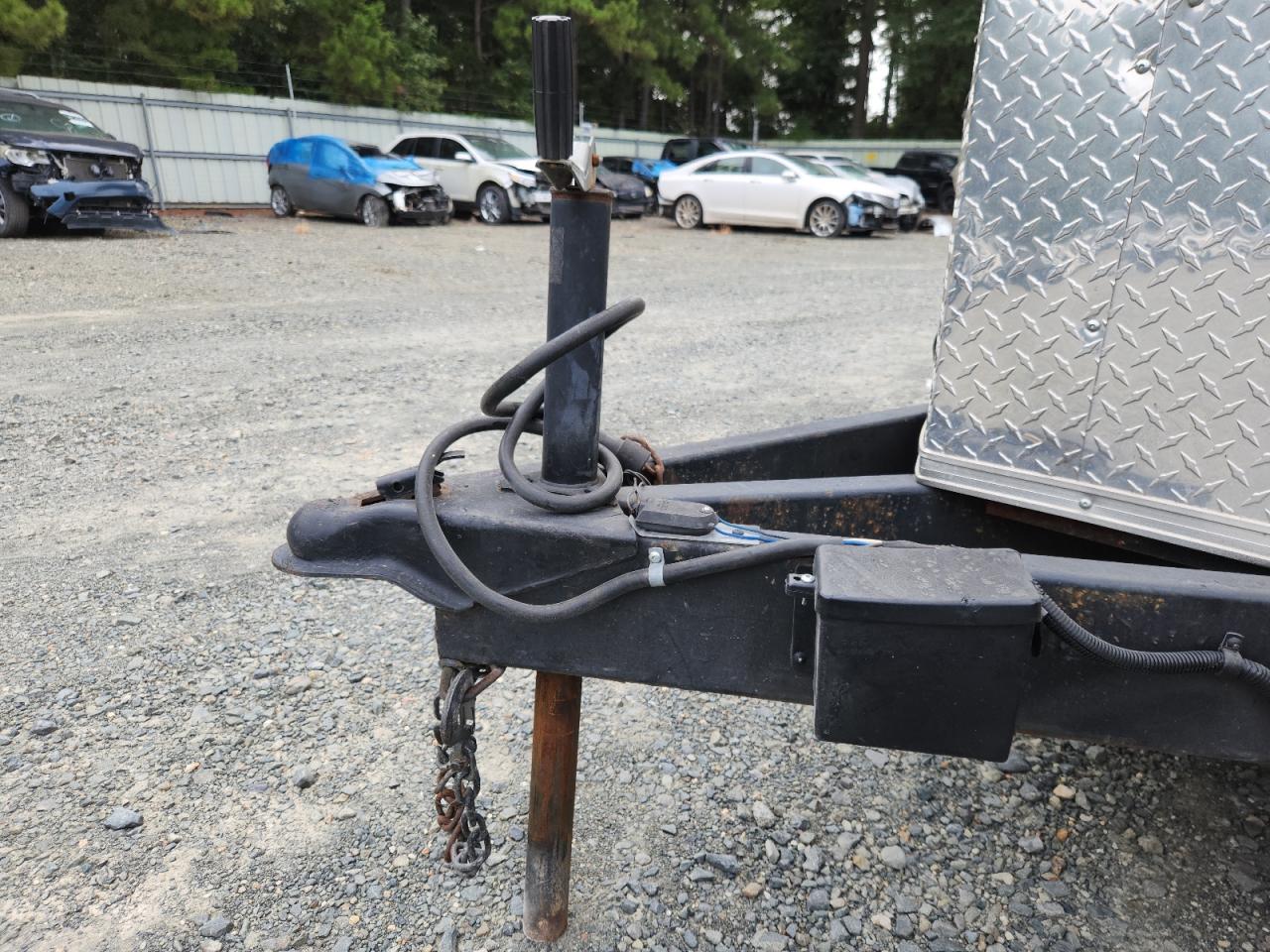 South Georgia Other Image 5