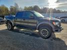 Ford F-150 Svt Raptor Image 12