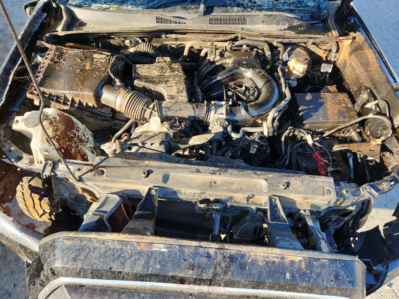 Toyota Tacoma Double Cab Image 7