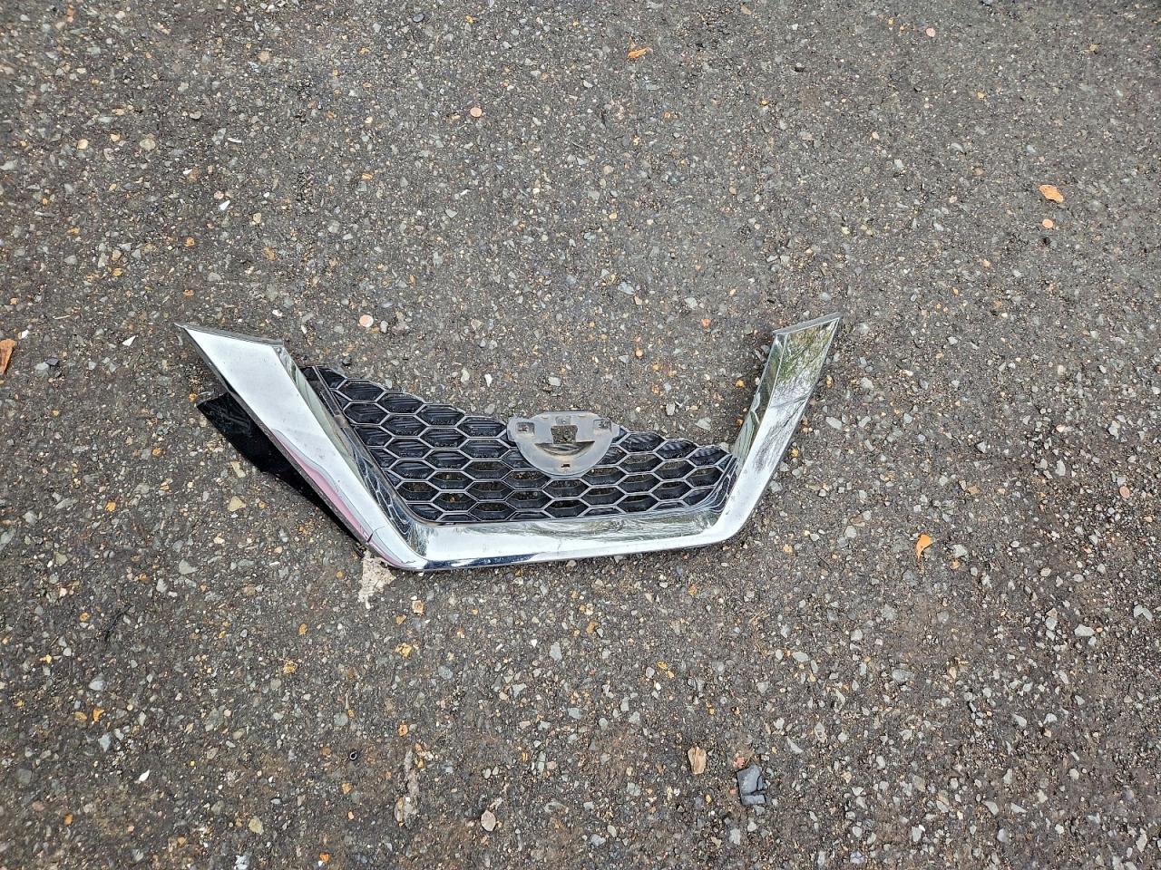 Nissan Murano Platinum Image 2