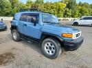 Toyota FJ Cruiser Image 3