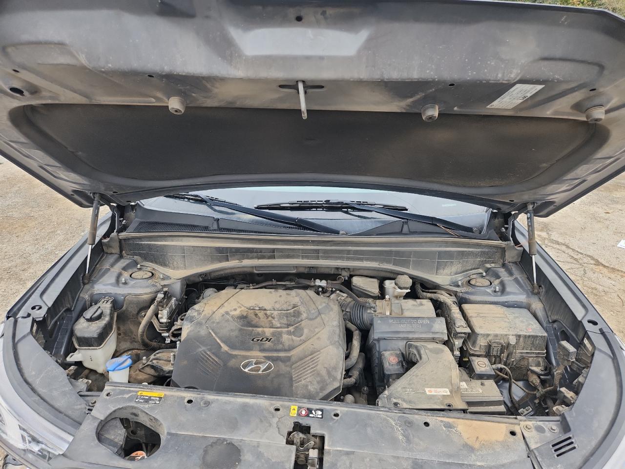 Hyundai PALISADE Limited Image 12