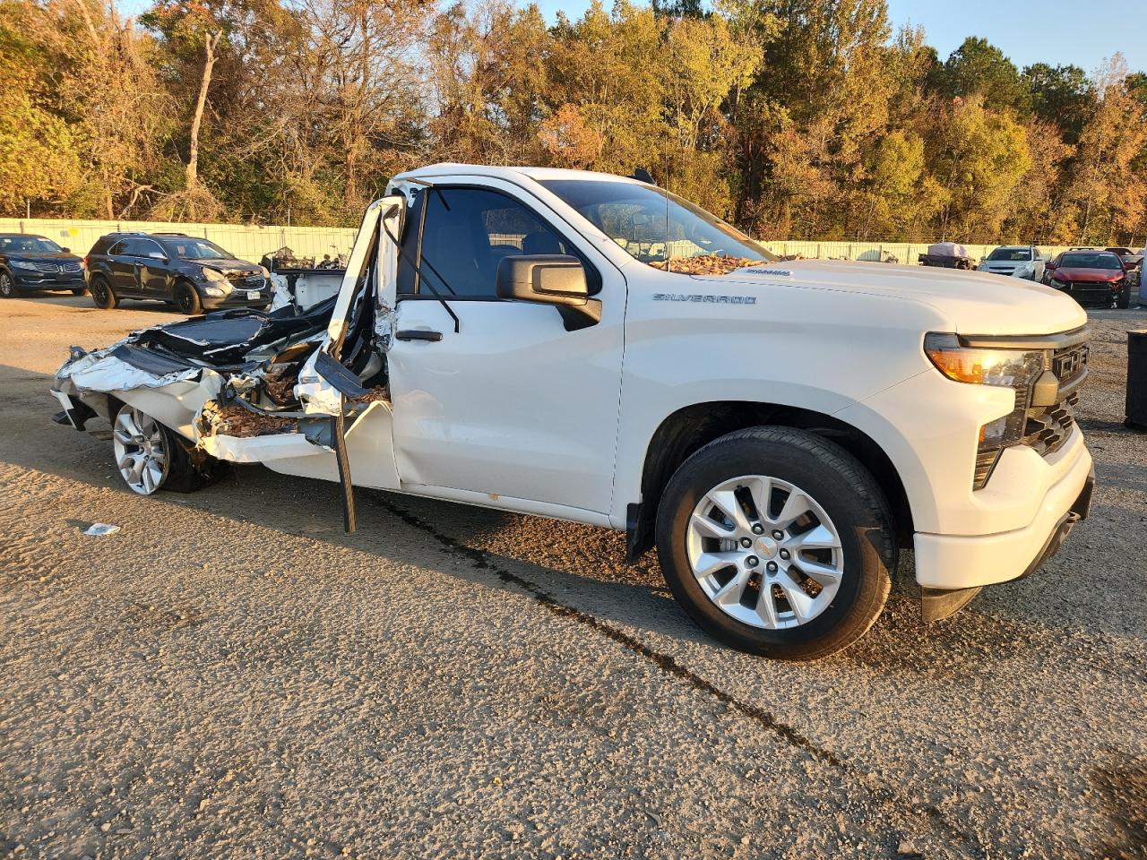 Chevrolet Silverado C1500 Custom Image 8