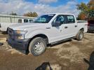 Ford F-150 Supercrew Image 1