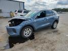 Ford Escape Active Image 1