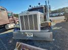 Peterbilt 379 Image 4