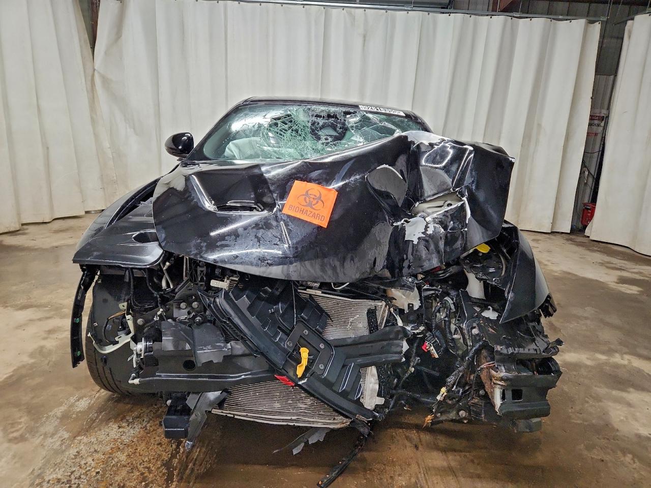 Dodge Hornet R T R/t Image 8