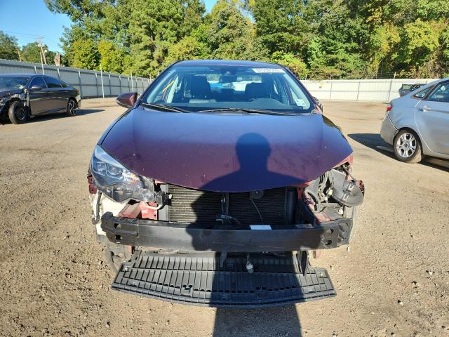 Toyota Corolla L Image 4