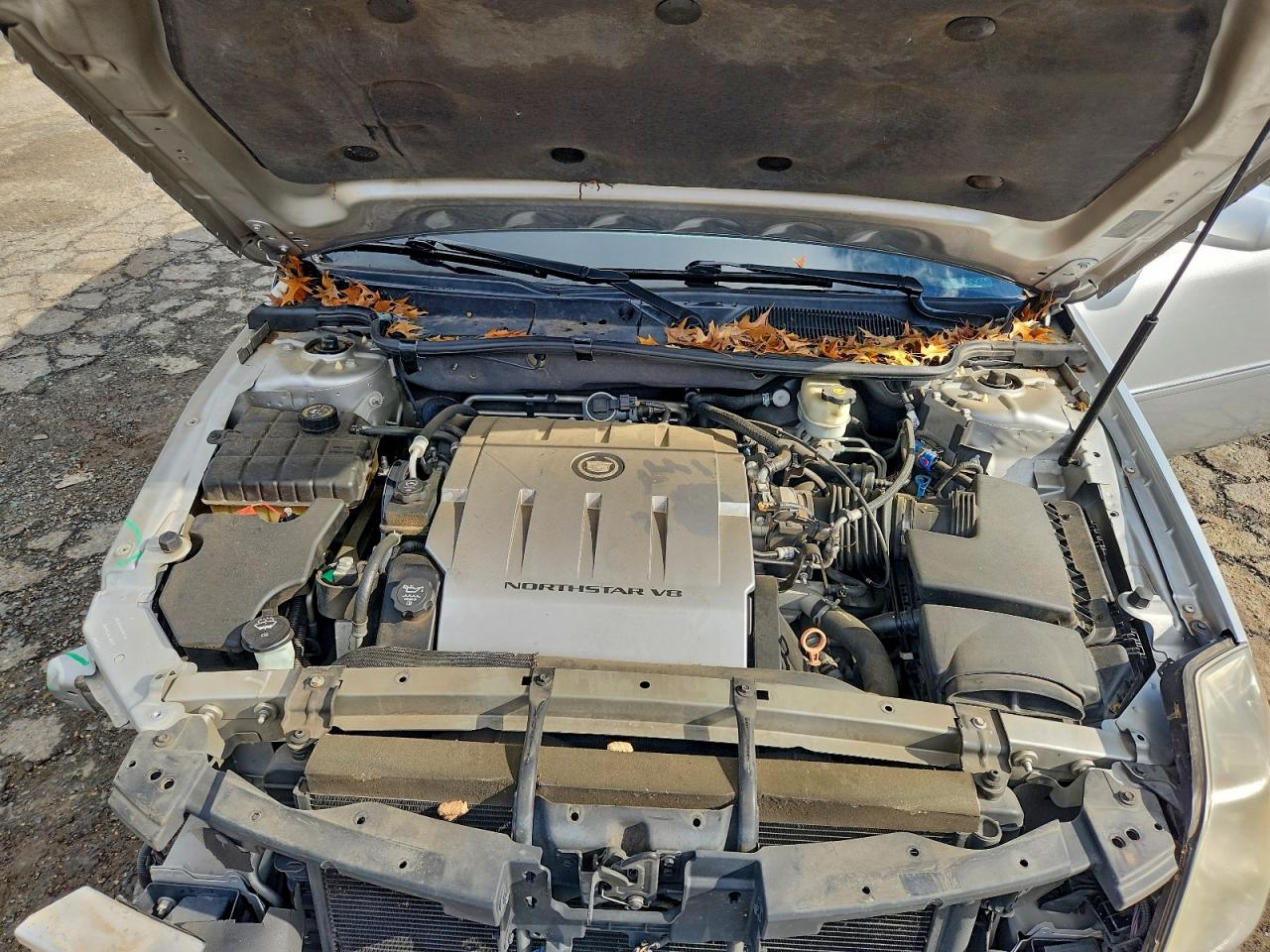 Cadillac DTS Premium Collection Image 7