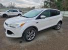 Ford Escape Sel Image 1