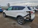 Ford Escape Sel Image 6