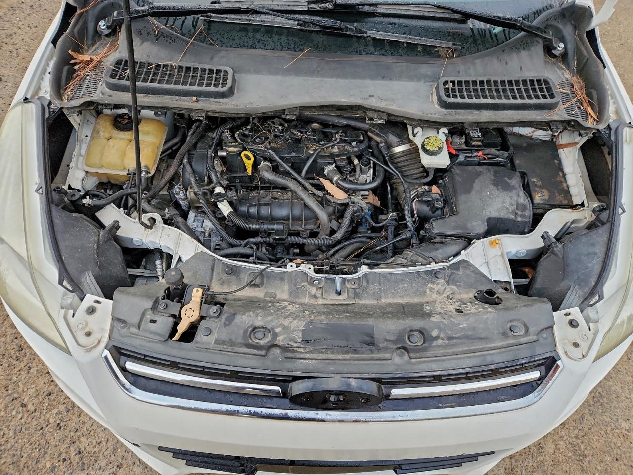 Ford Escape Sel Image 9