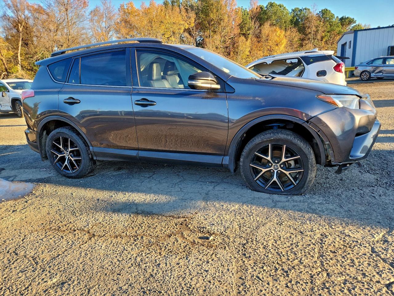 Toyota RAV4 Se Image 4