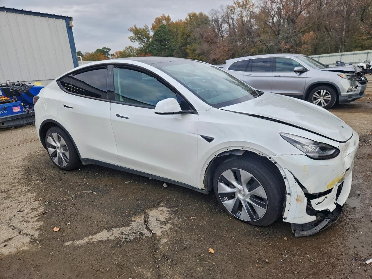 Tesla Model Y Image 12