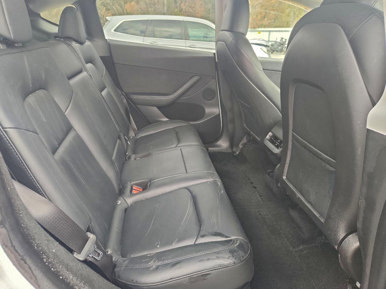 Tesla Model Y Image 4