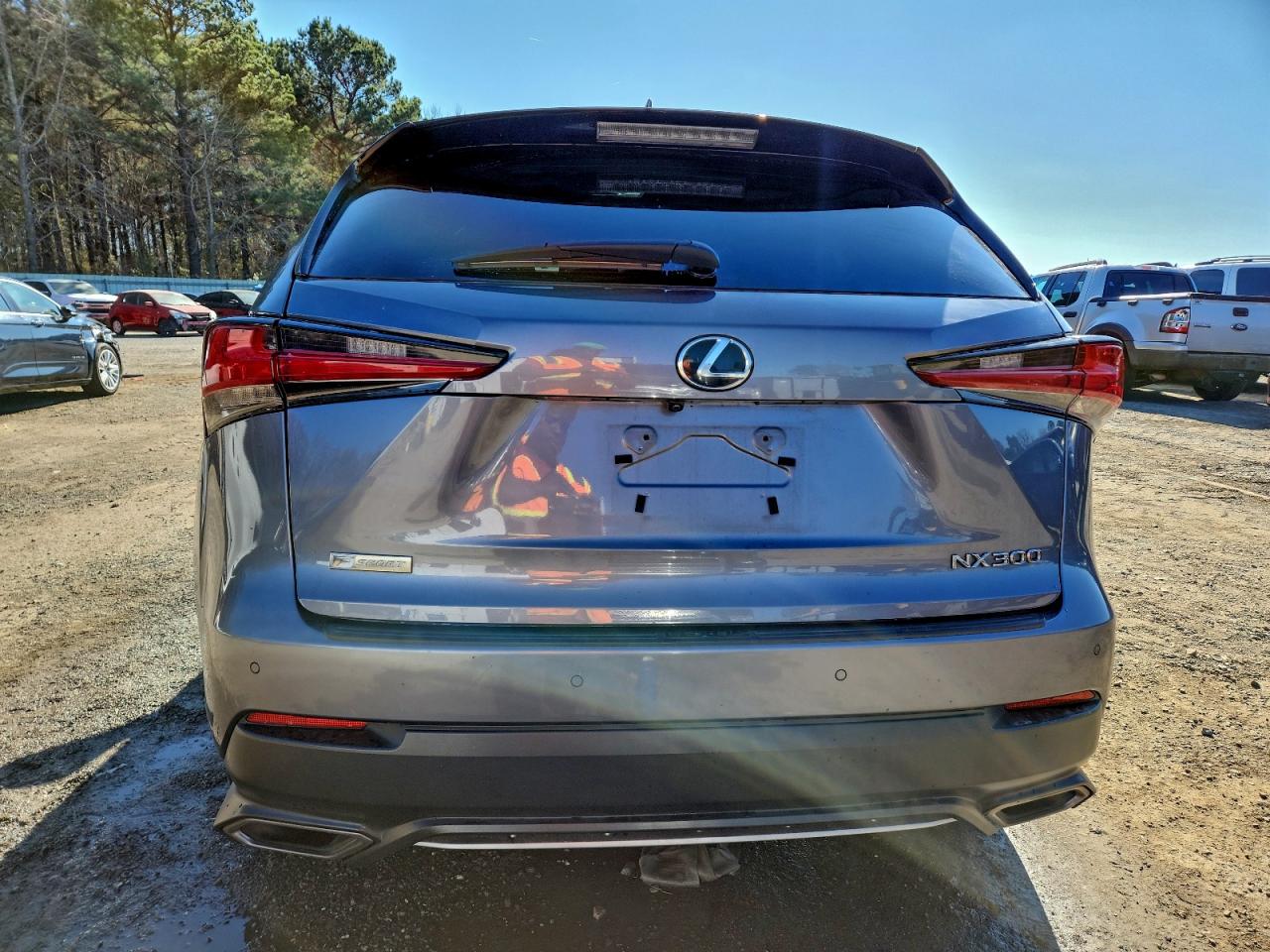 Lexus NX 300 Base Image 9