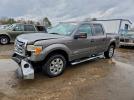 Ford F-150 Supercrew Image 1