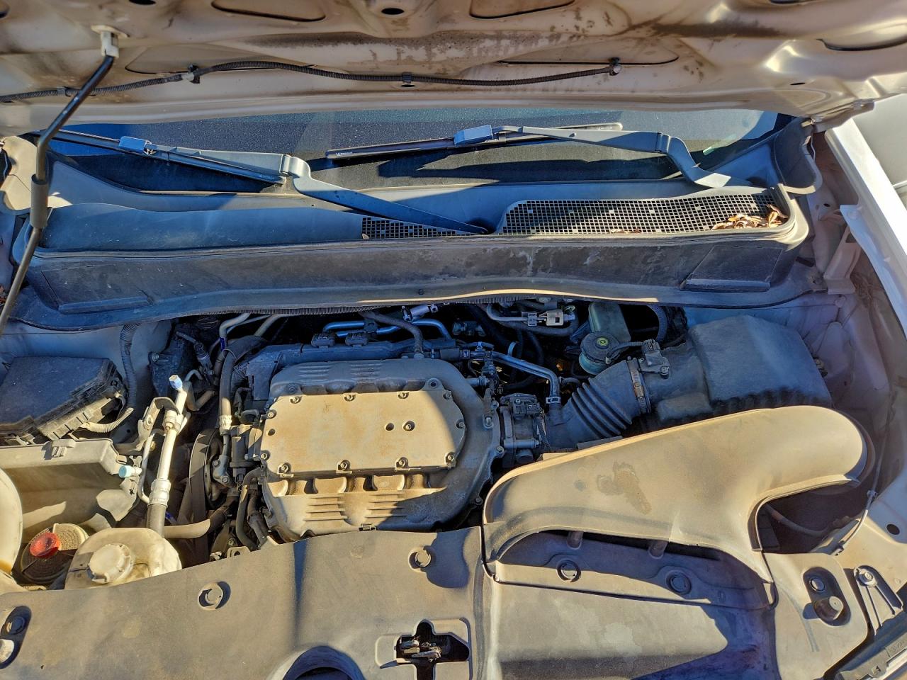 Honda Pilot Exl Image 10